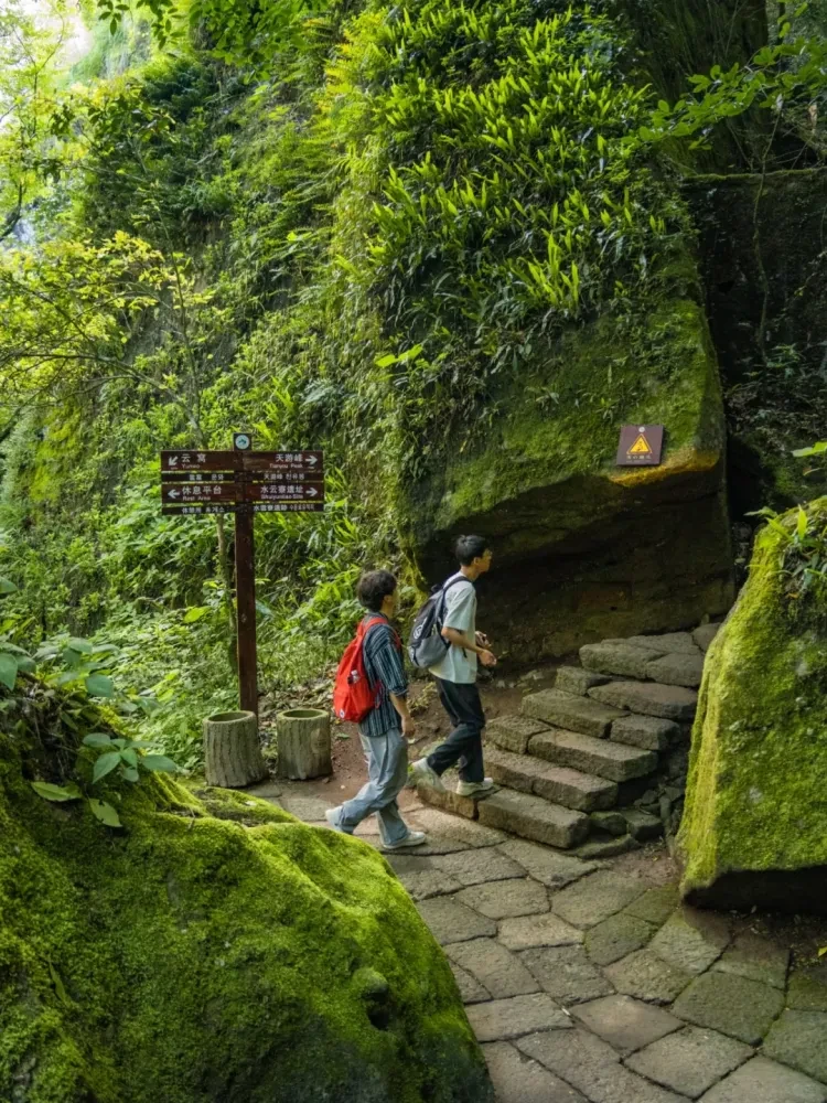 1d7bf3c774c8b8d3f6876eddb7e0d15a-sz_4041280 1d7bf3c774c8b8d3f6876eddb7e0d15a-sz_4041280