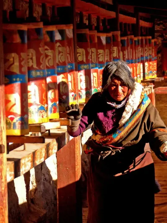 1d86c5be11b87306a5555a8ad925de9b-sz_329551 1d86c5be11b87306a5555a8ad925de9b-sz_329551