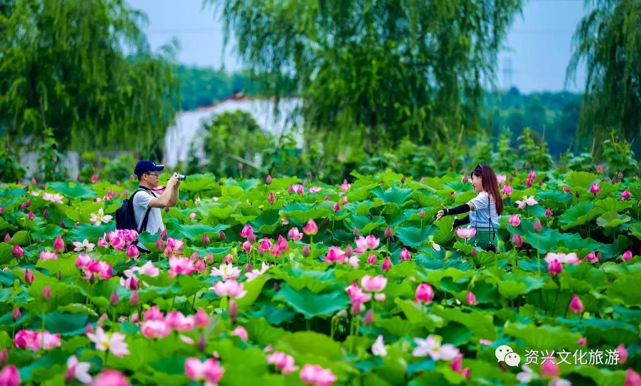 1e130925873f4bbf808461f7914a104b_th