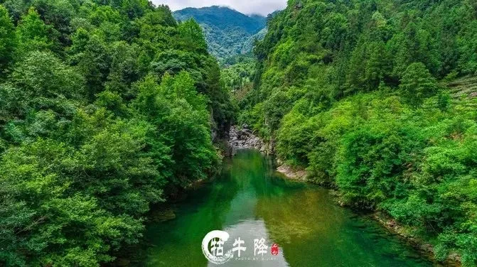 1e810942d60b836083b9830f34a3bfae-sz_87734