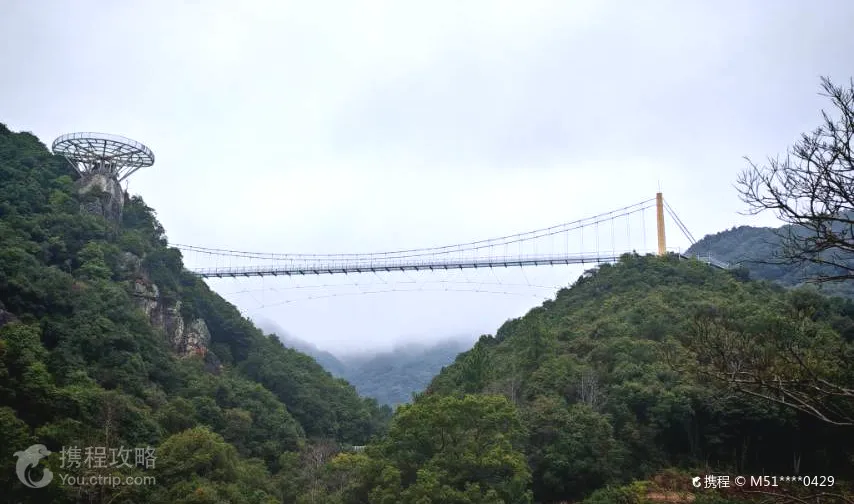 1eac871005061bf3e69777da4306c857-sz_95181