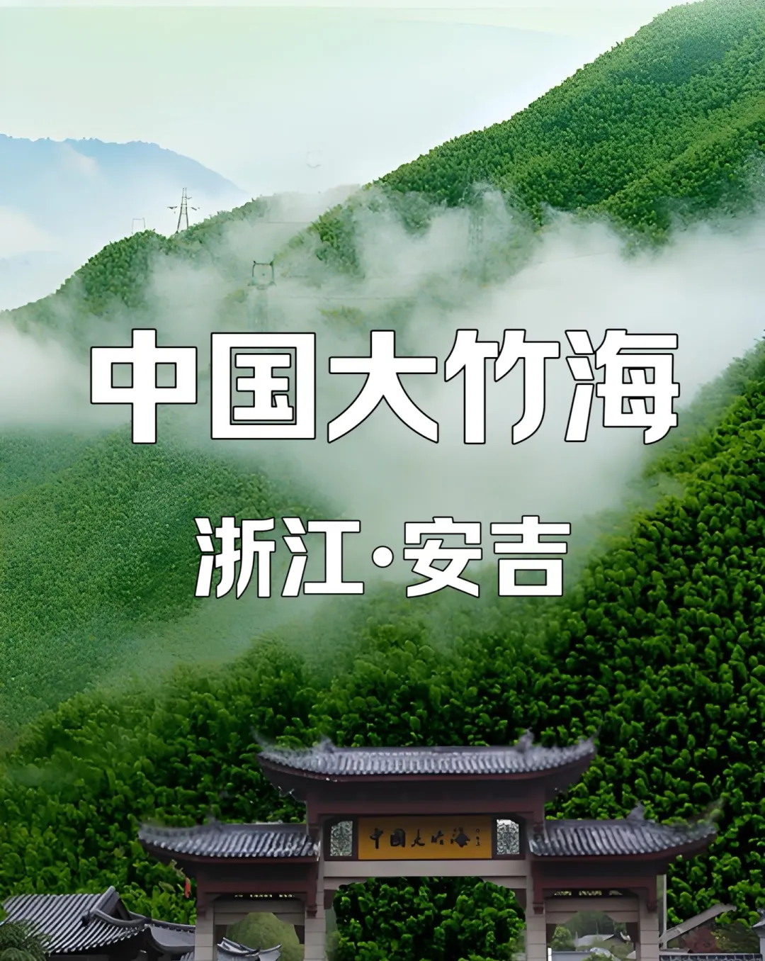 1ec53c33740325d6b444a5494bd76328-sz_1395433