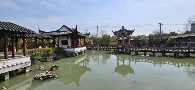 1ec8556d172dfab43f7ede2c0a91725c-sz_1291448