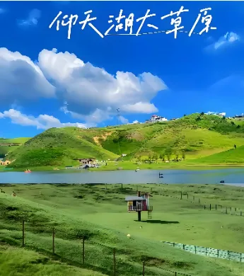 1f746b883a71c11ce264468d0a8bf6d2-sz_299691