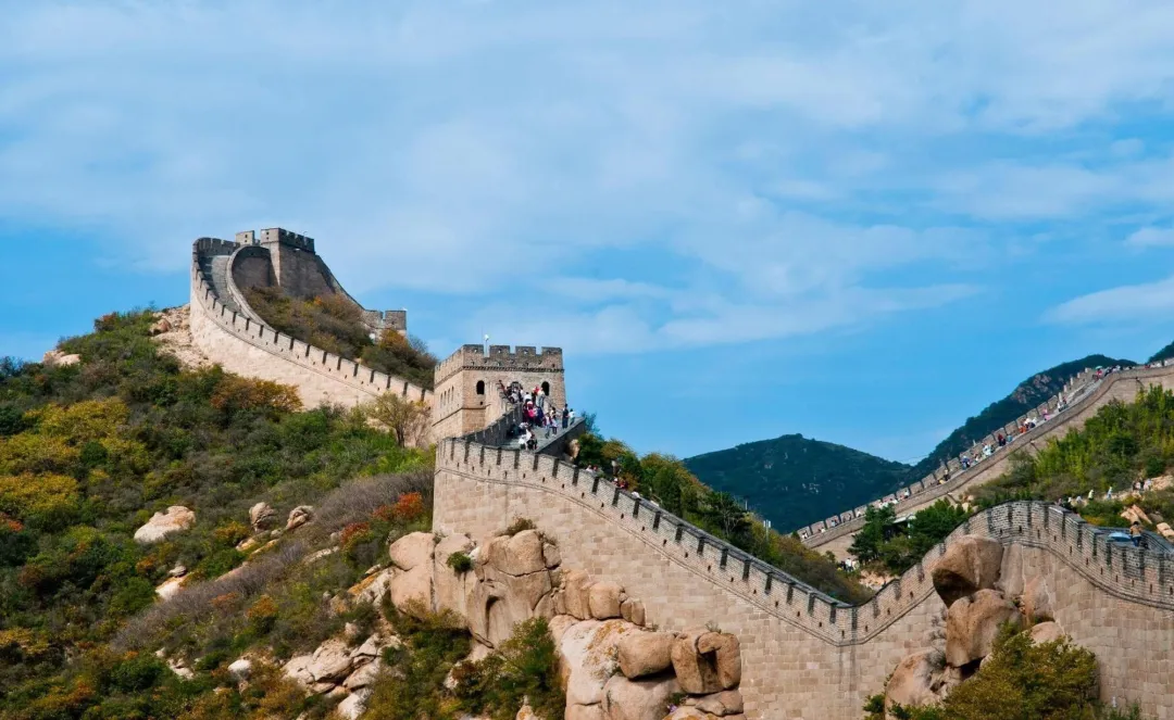 1fb865b0e44262b3925a879311f8adc2-sz_351527-1