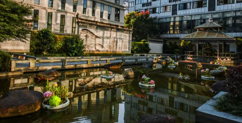 1fdb444ce7574d26995a15facf77a0cf-sz_951995-1