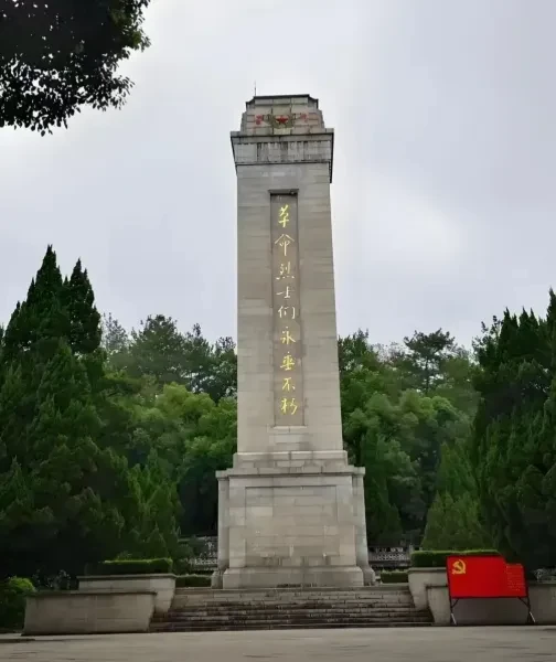 2015d88682f80fe6c6895dfd016944e0-sz_476256