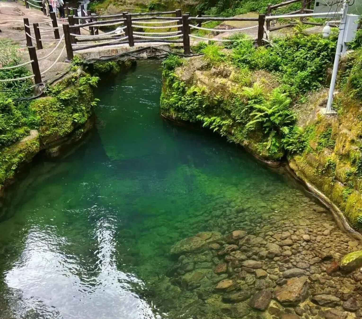 2018026ef498d4d3c4a87f1563aca8e4