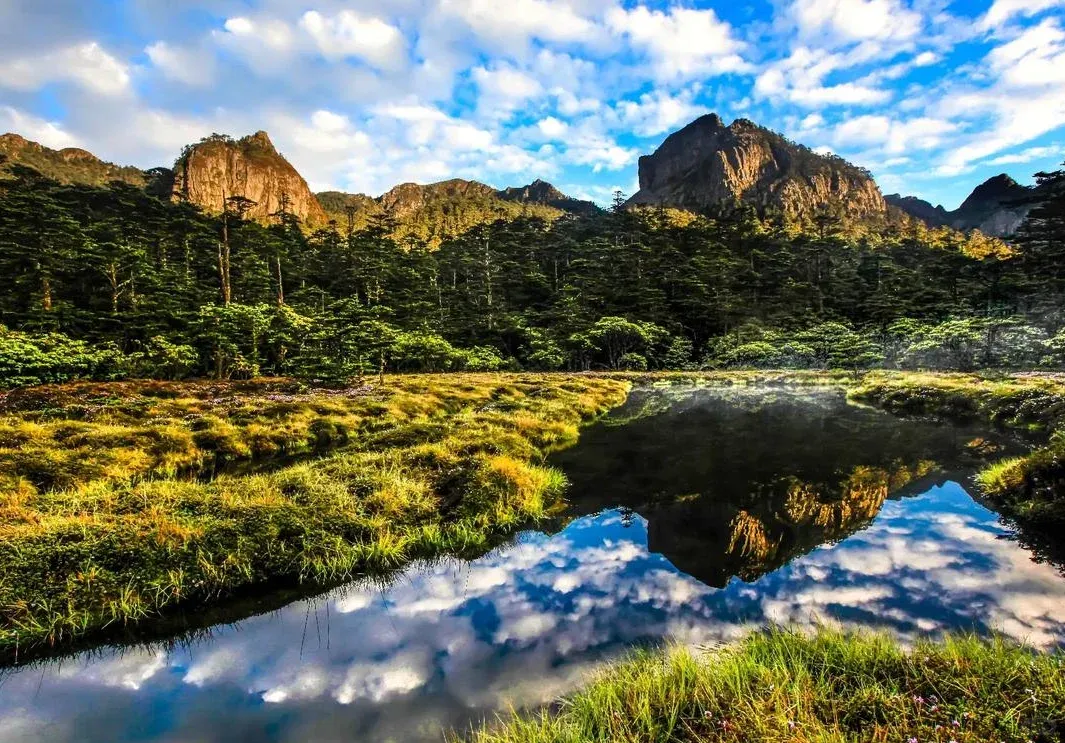 201e641116f9139530c328bd585d693d-sz_1704419