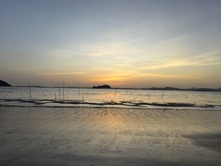 20d08c2ac0ab07c6506f098a354e1438-sz_9138599