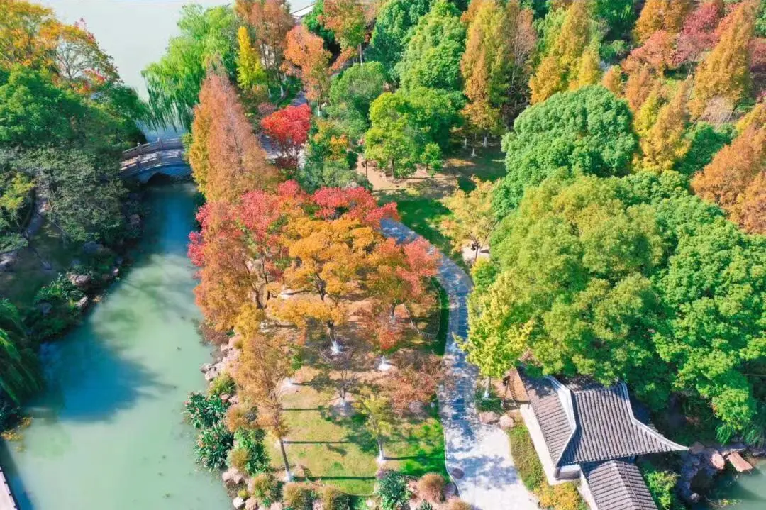 2116de0603fe741d56847d4b8b9b81c2-sz_301662