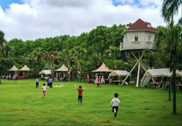 212959e51ee4e8fff1ff1fb8974b2db5-sz_354154 212959e51ee4e8fff1ff1fb8974b2db5-sz_354154