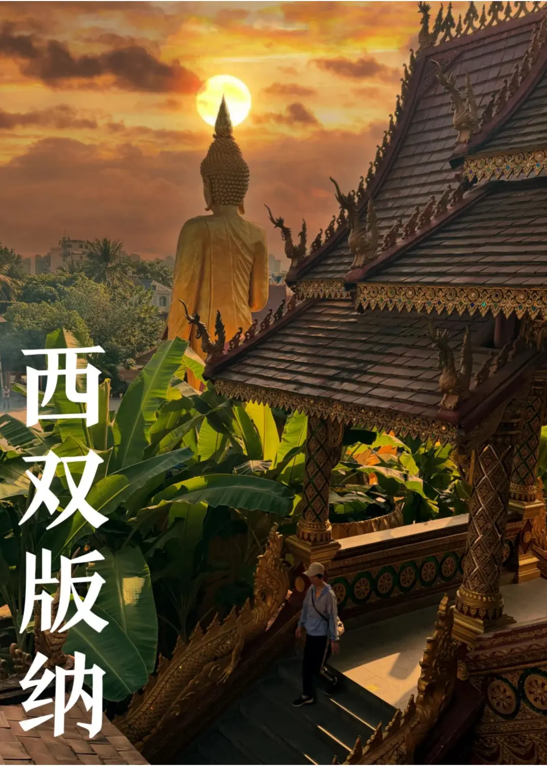 2132e6d8e1b7eef36471a59373d314ca-sz_408896