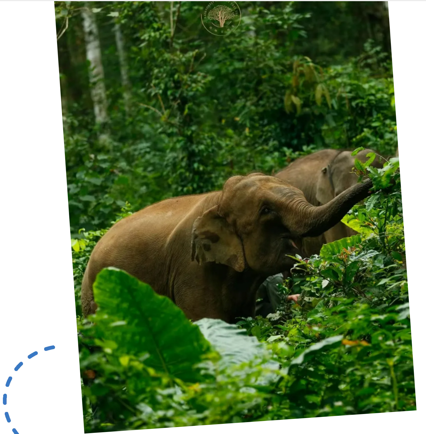 2149686b5af80ef70f5d47ad1533b343