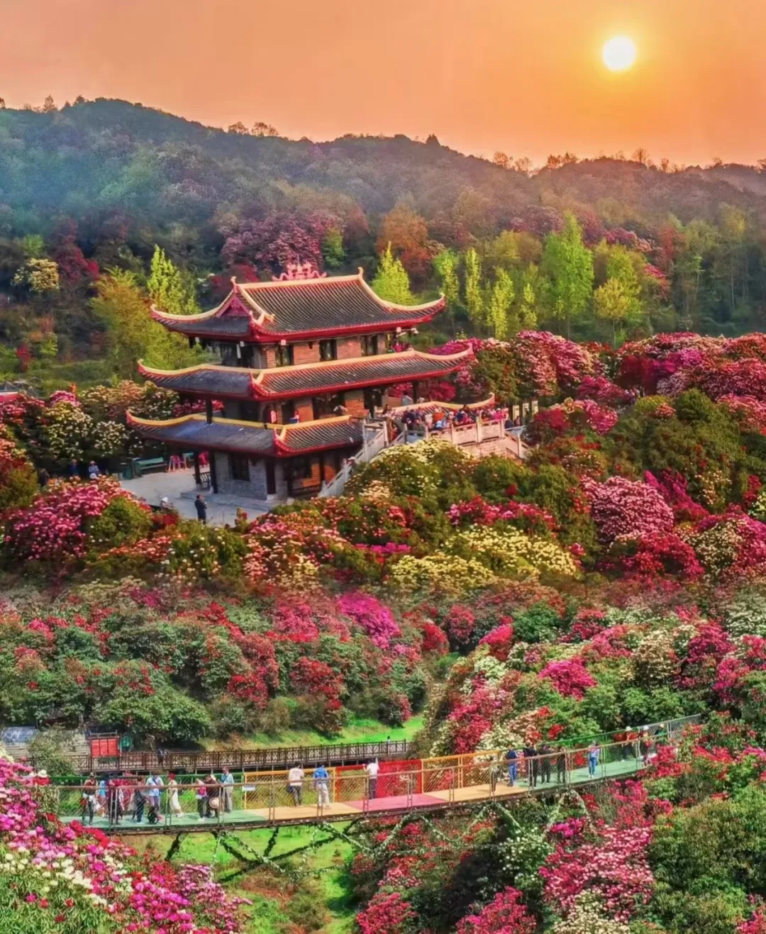 216001e096b44070035a2308c39bd956-sz_881254 216001e096b44070035a2308c39bd956-sz_881254