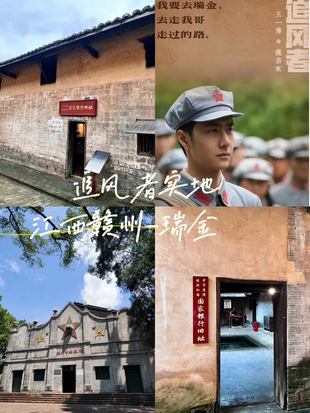 21b8098d300830b3dd29e36ab31c222a-sz_503097