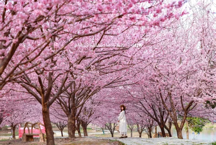 21deb10af777ef03a03d49aef7d2574a-sz_4920039