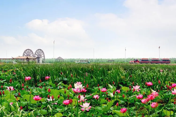 21f427b3361dfa8838bbb93b16787176-sz_85125