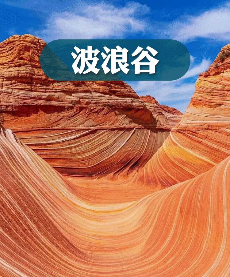 220c82c0a5f8910adbbf52f1f0d74340-sz_2651682