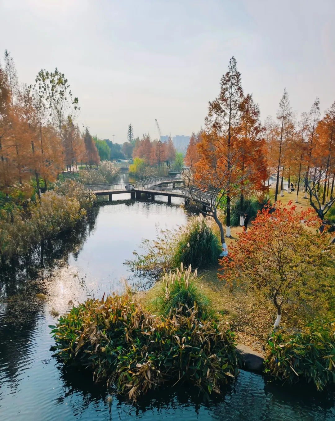 2240ac4f6c00d55564ff880c04e83ed9-sz_1717389 2240ac4f6c00d55564ff880c04e83ed9-sz_1717389