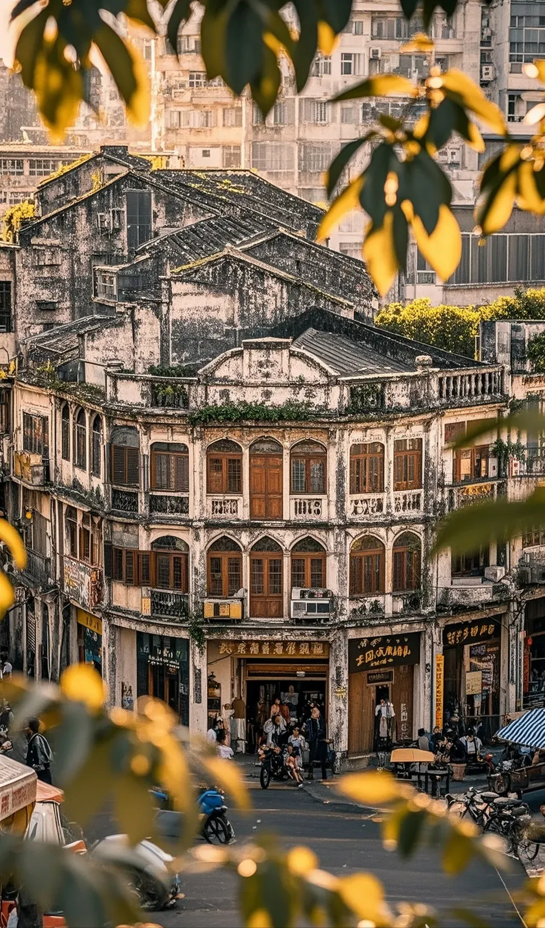 225a3d0b43a24cb96872a2ea95c1d361-sz_3656331