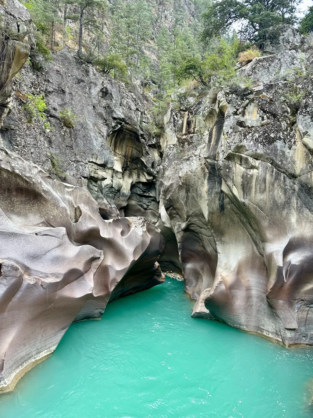 22619e94ac8e24a1936ebefaf3fc4564-sz_736917