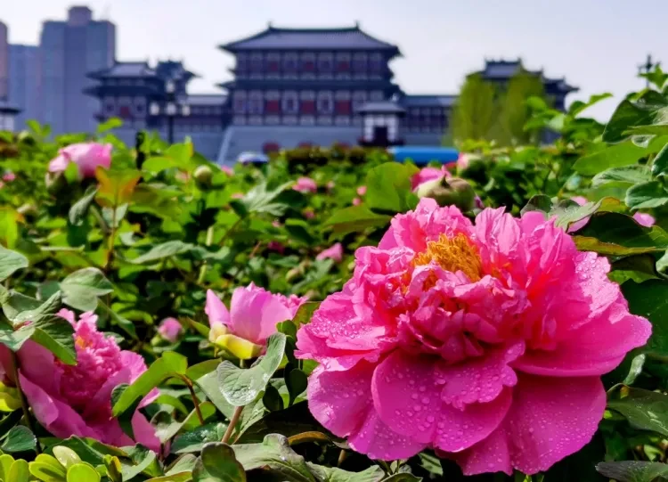 22dbfda4cc875c0ac89ad131f1cfd8a0-sz_230438