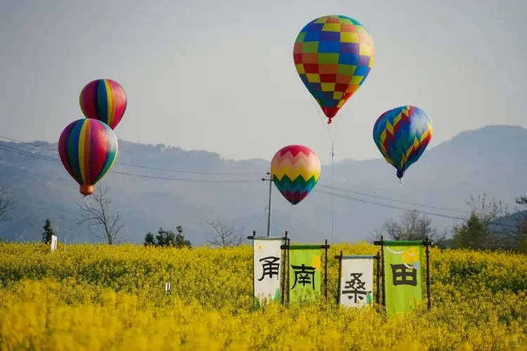 238b31ca7f5b496b3b19cf996d02ae57-sz_2233829