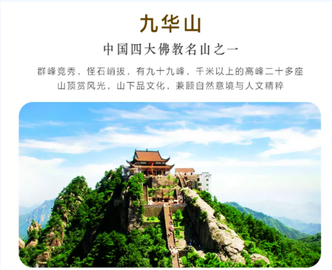 240d81ae4a7b8ef3adfa5f560be86a87