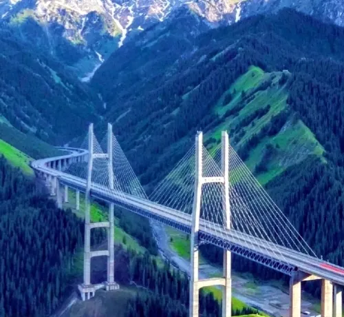 24142519bdf193d71ad5986cae05c9e0-sz_310576