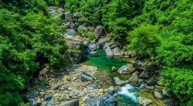 244f3c16152fb3f565d8286517c42ba6-sz_649874