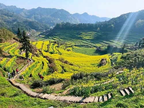 24d432b136f932ea471f6e433b47aa2d-sz_70057