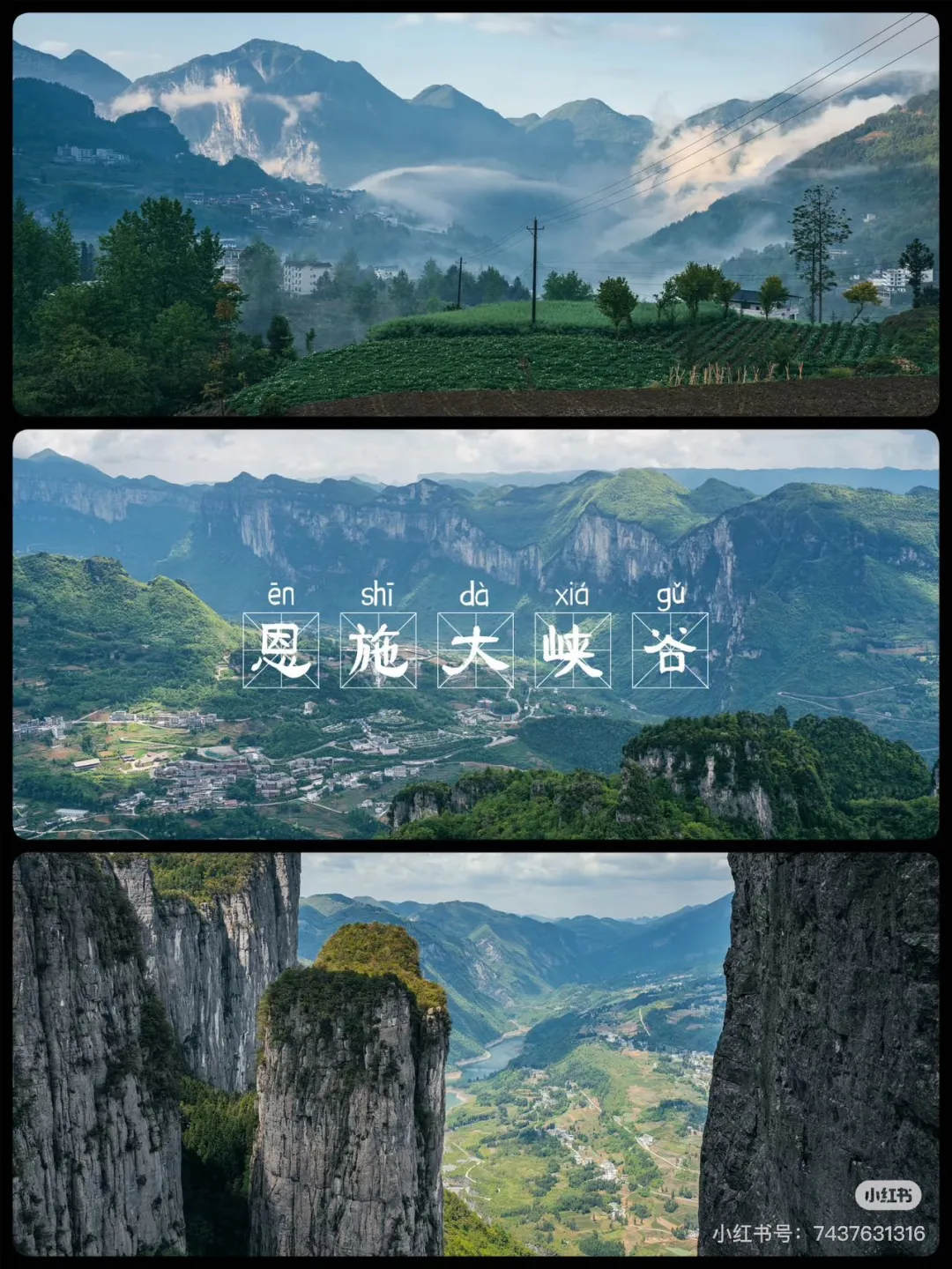 24f07de226160bde31066efd9e960e24-sz_616205