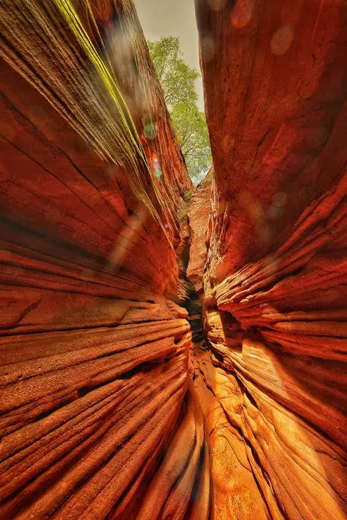 250e47b8fb5ec3bd22aca3b67ac226f2-sz_86246