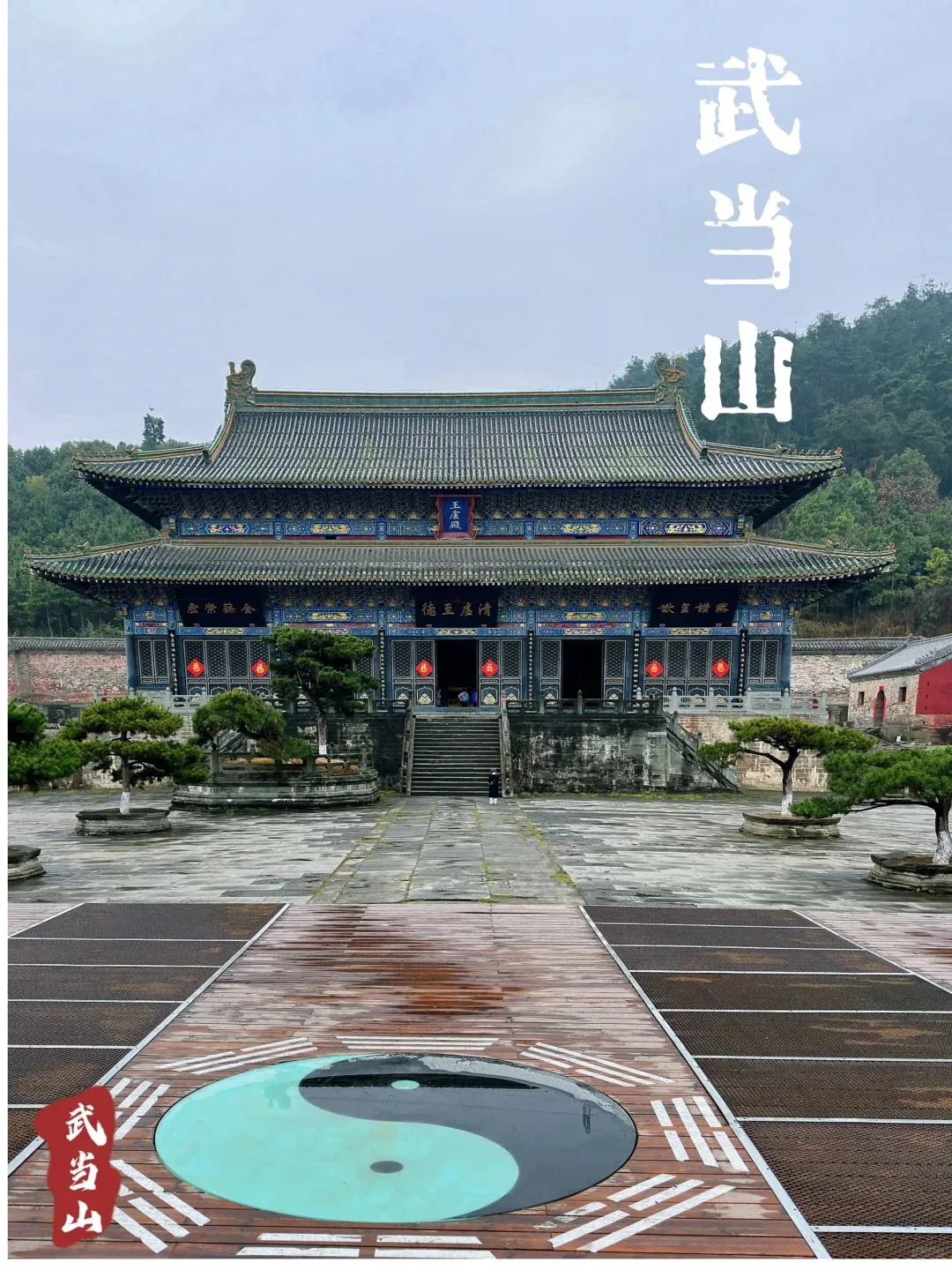 250eed8413ccb4ba328f87c6dc5bad2a-sz_2608995