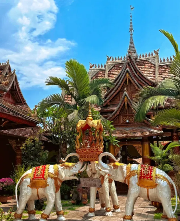 大年初三不请假~新年在版纳：15成人精品团|西双版纳双飞5日游|4晚四钻酒店