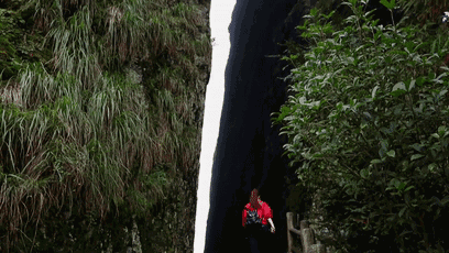 258fea9ad3229ebf356751c33aaf07a6-sz_495274