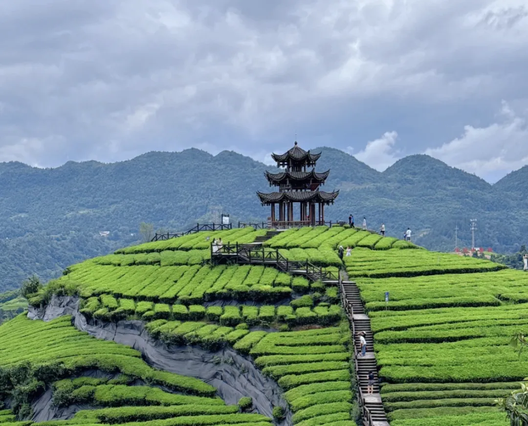 259b97e0789db0730dce54d1f6faca18-sz_1822454