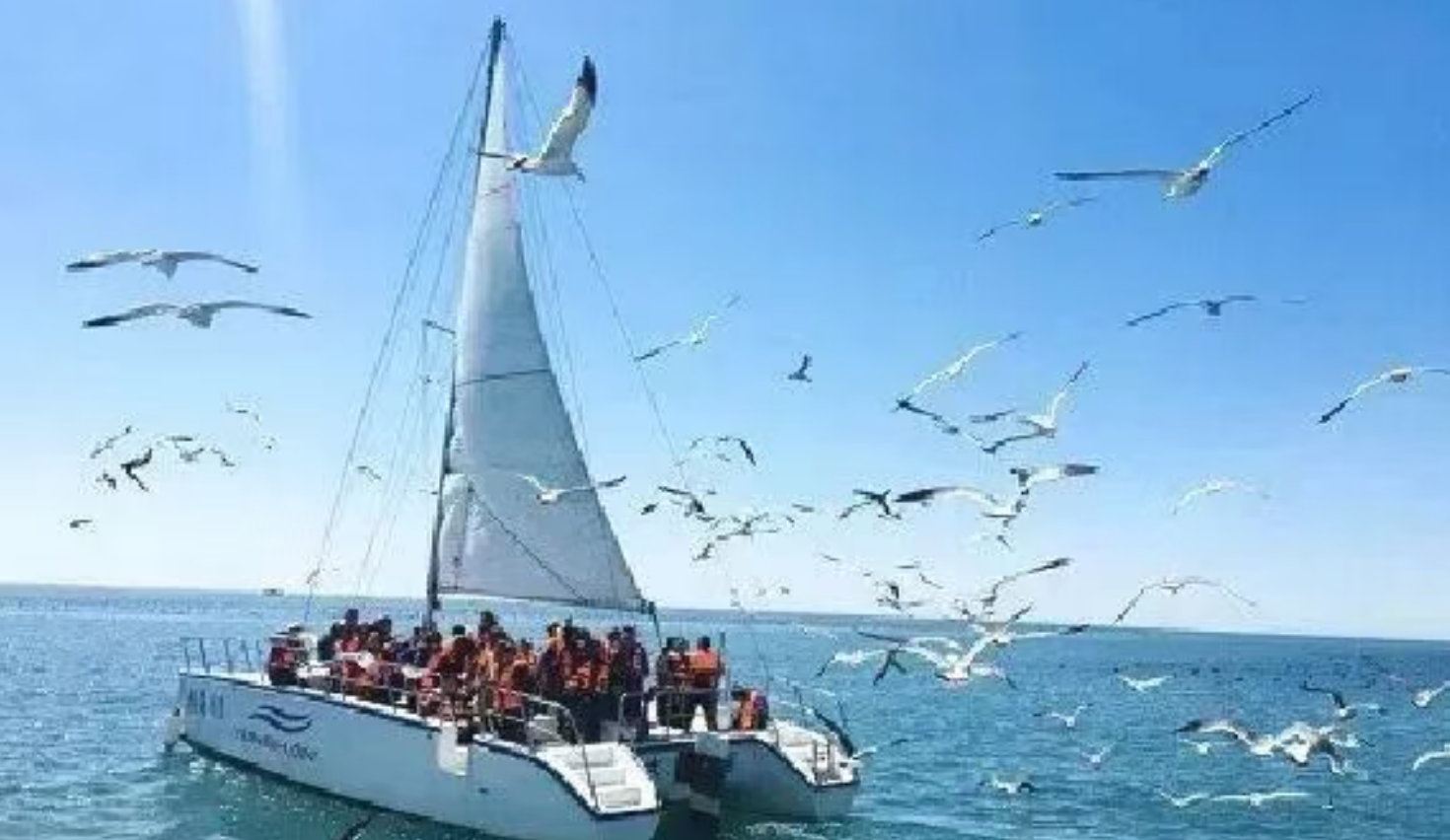 25b76a846291f8dfd8883ea8d8901754