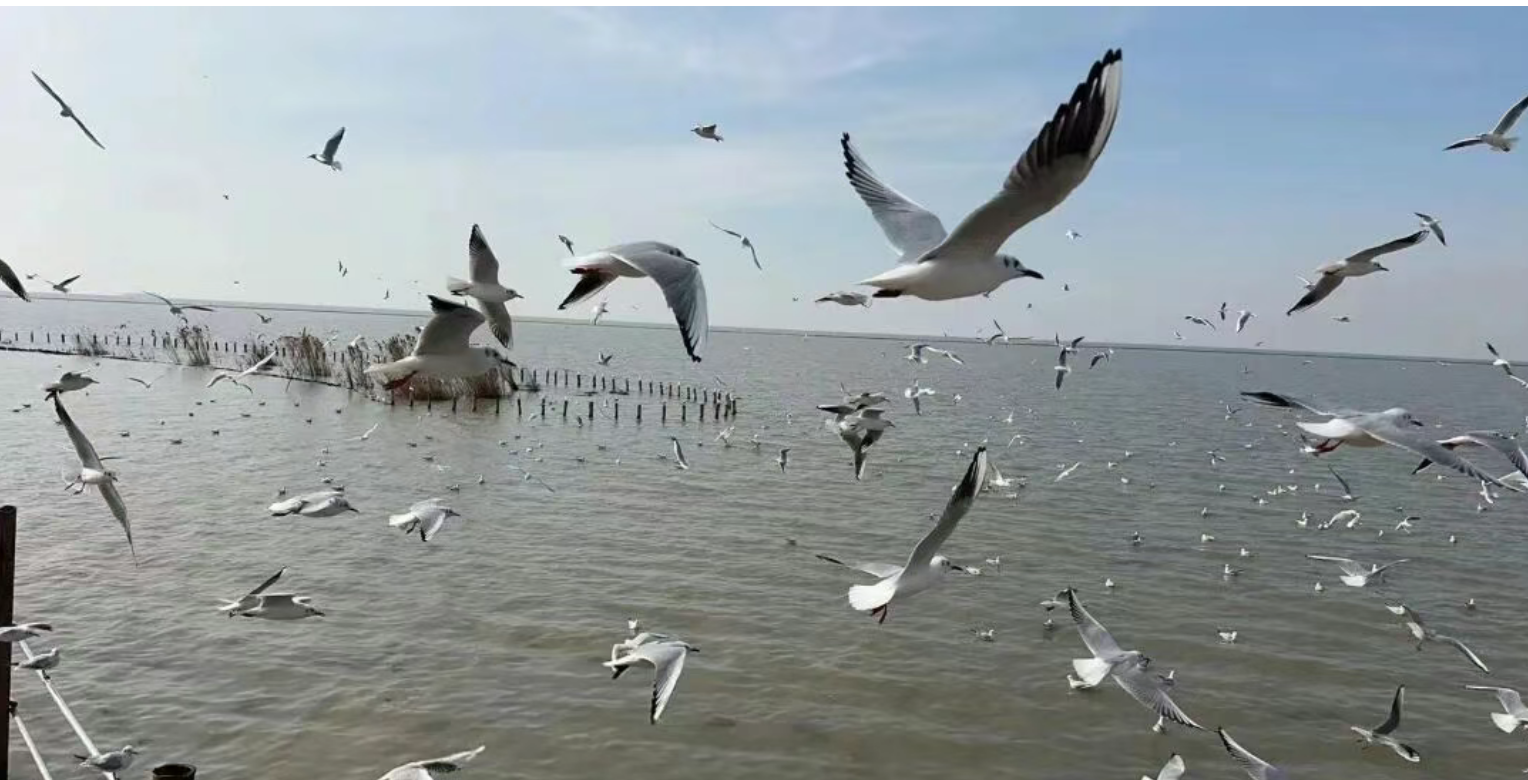 25c0560339312c45f76fe09bfd13a842