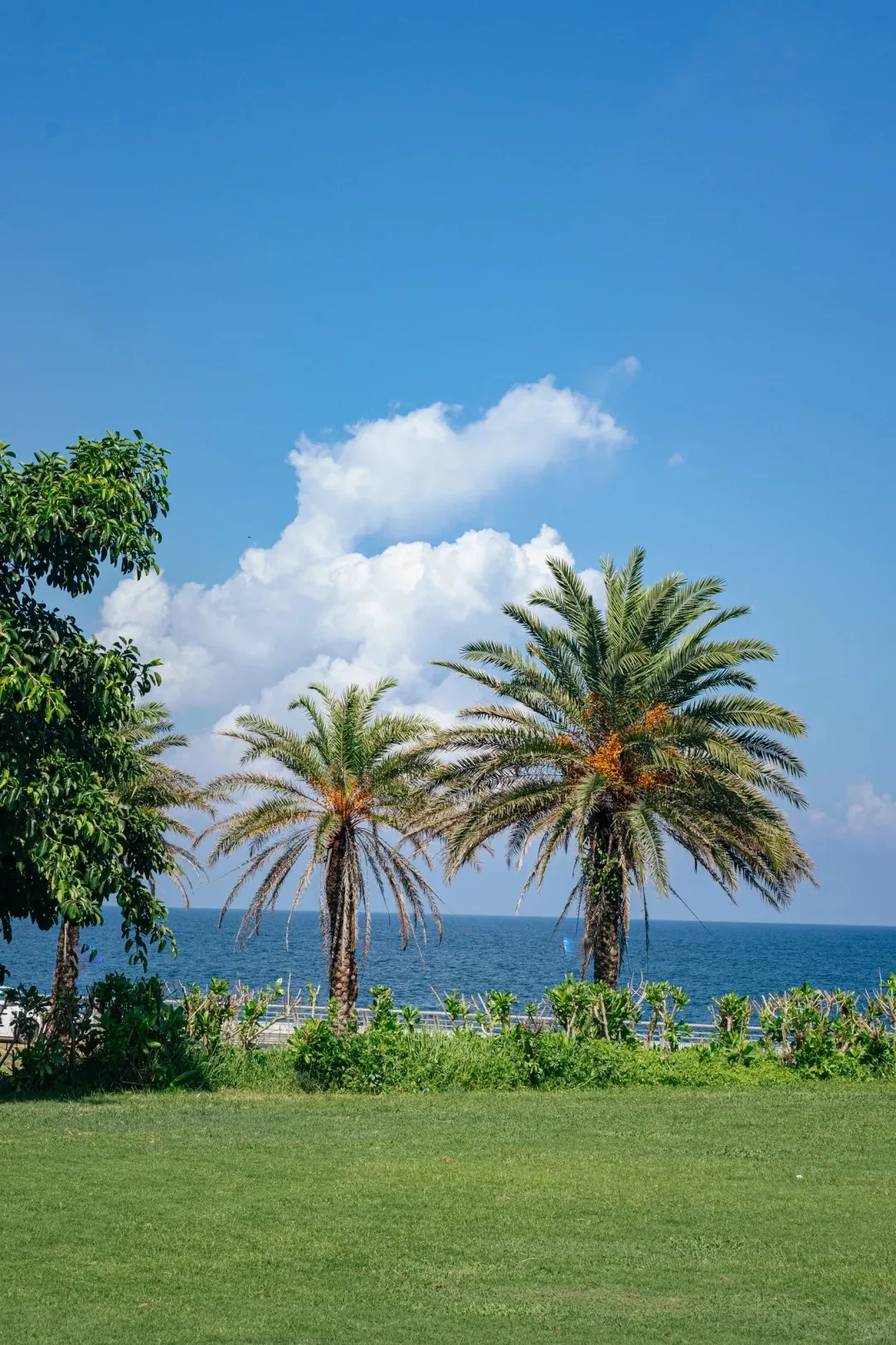 25d85a6ec95c2ef2813f2d084f5298bd-sz_520991