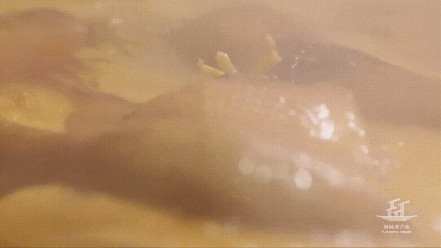 2650e38d83eaa11a6895f074d1c55da5-sz_1934261