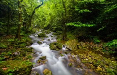 266d4d8c605de2b2d3bc20022d8d9b16-sz_319454