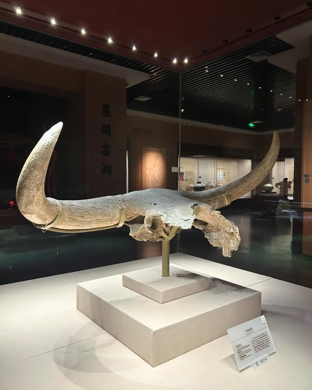 26879ae86185aa105933781b7187f858-sz_193724