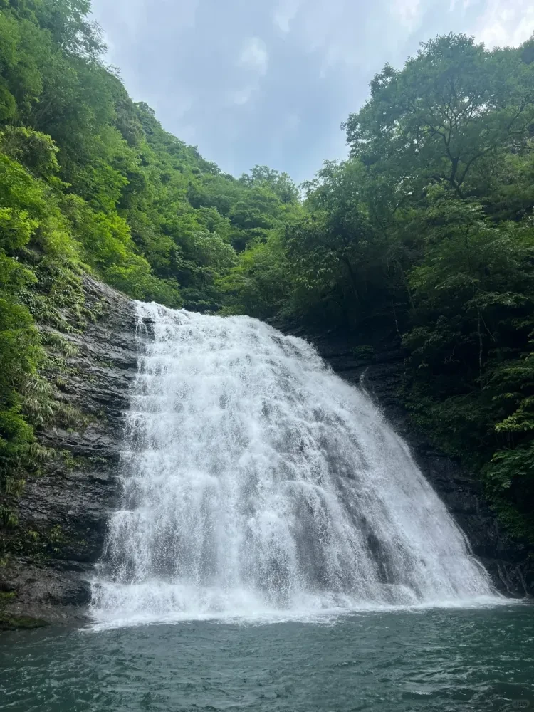 26c29a454c938abe9e83b4a4d46a5cf9-sz_3322274