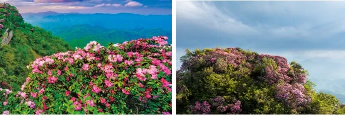 270582f8ca2718734f737a4ccfc50121-sz_874691 270582f8ca2718734f737a4ccfc50121-sz_874691