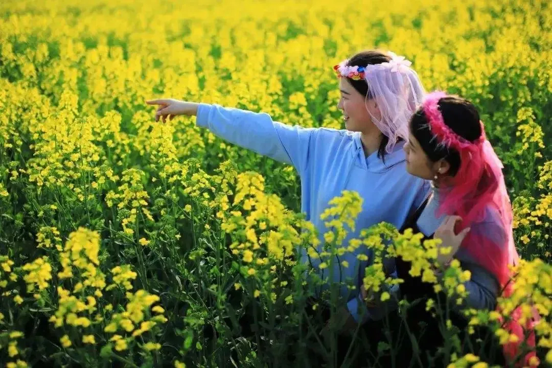 27190db2438a4531bb15420d8750eb5d-sz_161647