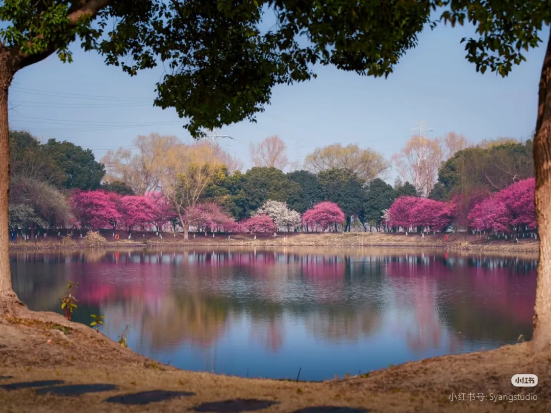 2852861e7d21de43352fb140e77a7c8d-sz_897247