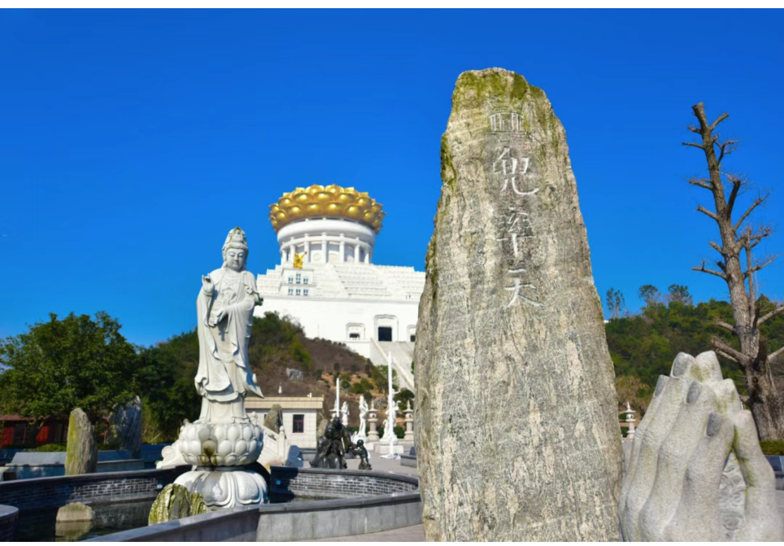 28e9b427bcb45cecd38f6d8e8f83be9d 28e9b427bcb45cecd38f6d8e8f83be9d