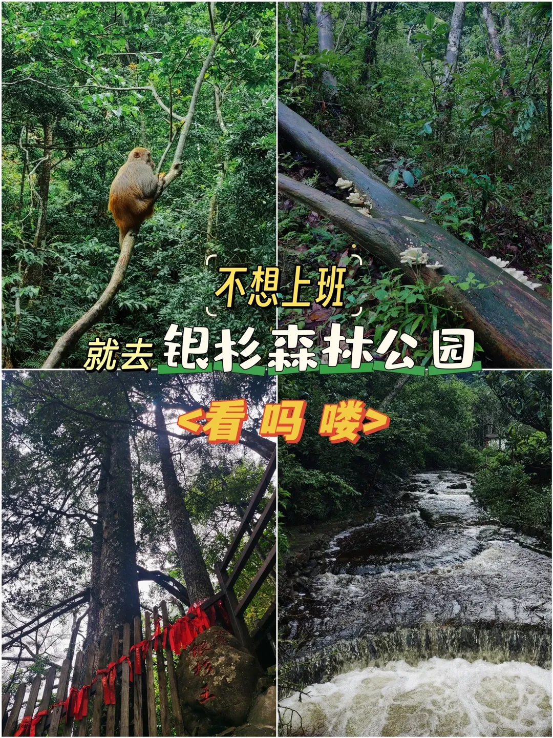 293f2fdcb3a2d3007eae17c49cbc2207-sz_3663195 293f2fdcb3a2d3007eae17c49cbc2207-sz_3663195